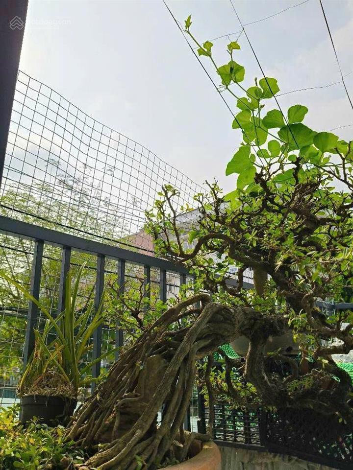 Nhà sổ hồng riêng thới tam thôn, hóc môn gần trường học tam đông 2, chợ thới tứ, hóc môn giá 2,7 tỷ
