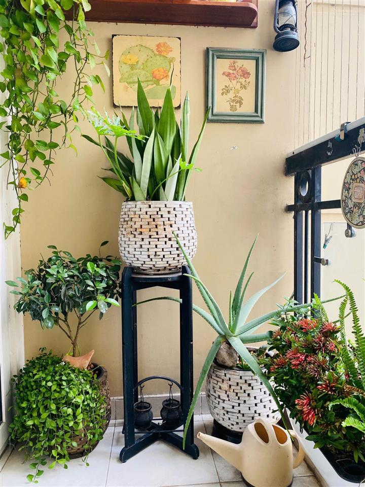 Sàn giao dịch cđt  phúc yên 1/ 122m2  3pn 2wc  5.3 tỷ  sổ hồng riêng  lầu thấp, view đông nam