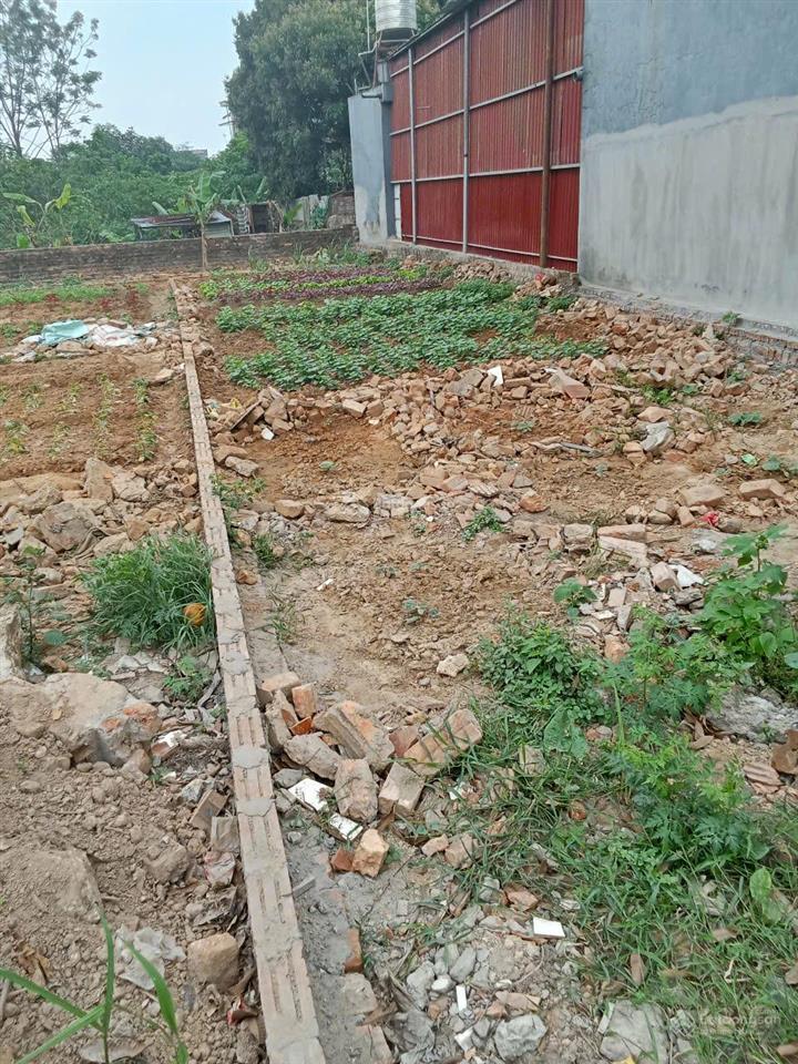 Chính chủ bán đất thuỵ hương  phú cường 96,8m2 full sổ đỏ, đường thông ô tô tránh 5m, thương lượng