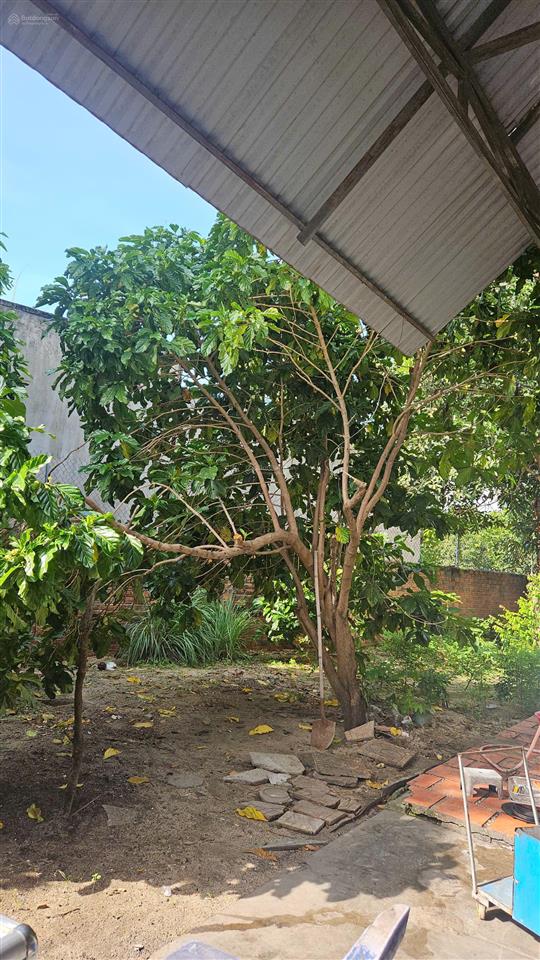 Chính chủ cần bán căn nhà cấp 4 mặt tiền đường hà huy tập, diên khánh