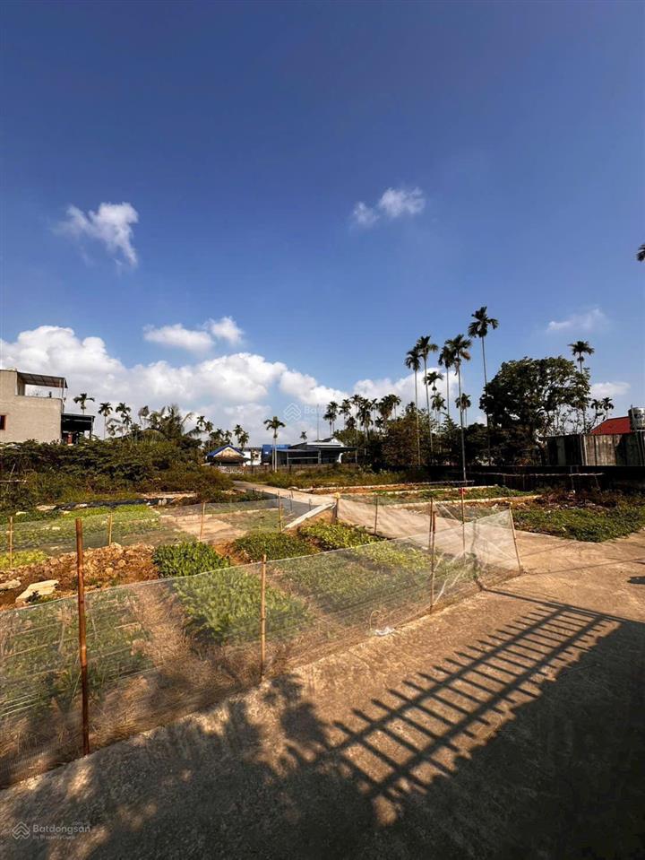 Chào bán lô góc lâm động giá tốt