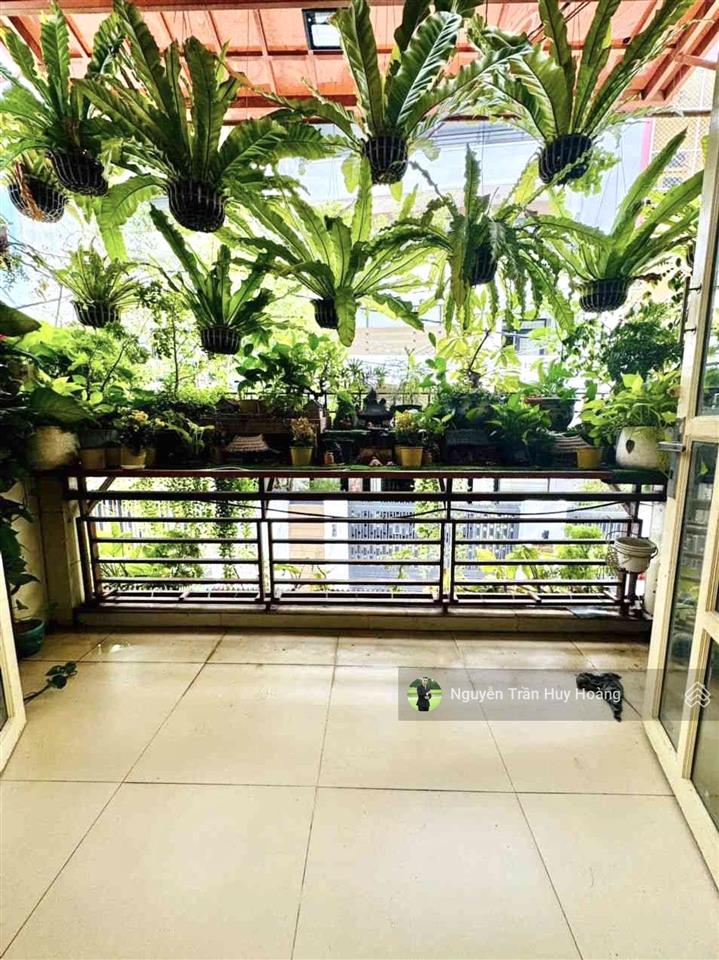 Mặt tiền quách hữu nghiêm phú thạnh, tân phú 80m chỉ 7 tỷ 999