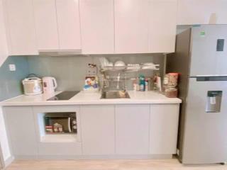 Cho thuê căn hộ studio, 30m2, 7 triệu, tại the sapphirevinhomes smart city, tây mỗ, nam từ liêm