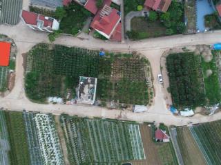 Góc vip đấu giá mễ sở  oto tránh gần chợ mễ và vành đai 4  mặt tiền siêu rộng 10mgiá cực tốt