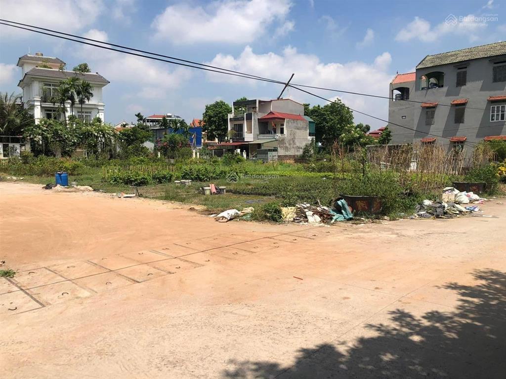 Đấu giá xuân quan  giáp ecopark và bát tràng, đô thị xuân cầu alluvia  kinh doanh  cực tiềm năng