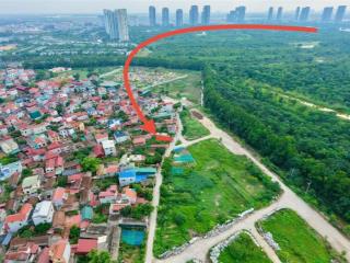 Bán gấp đất cửu cao đối diện khu đất dịch vụ liền kề, view ecopark oto tránh thoáng mát giá tốt