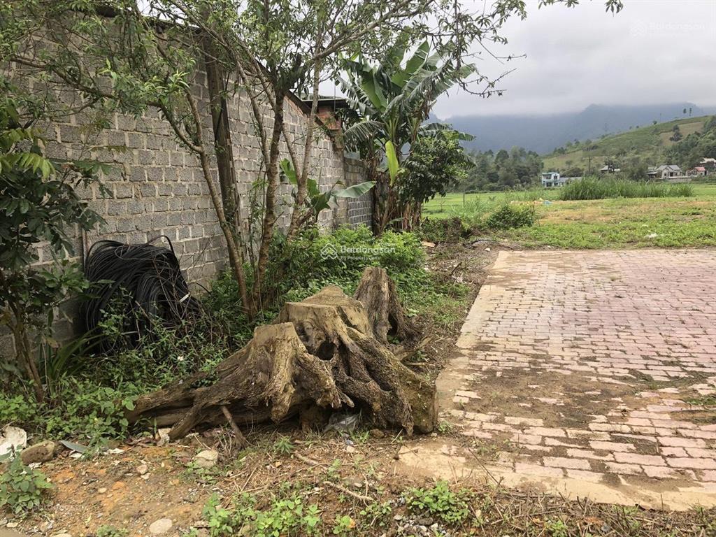 Bán đất 1 tỷ đẹp phân lô mặt đường ql32 chợ 5.000, văn chấn, yên bái