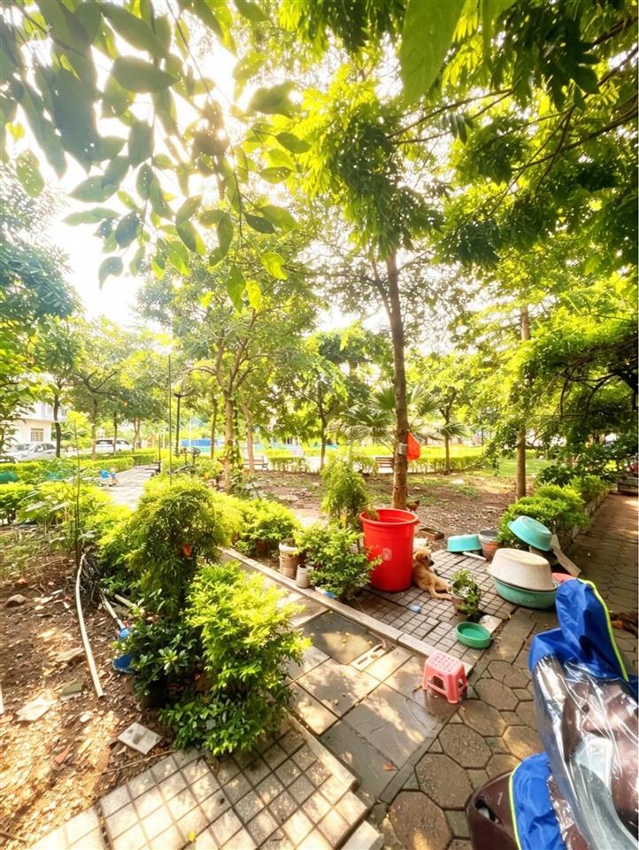 BÁN ĐẤT VIỆT HƯNG 60M2- MT 3.8m- VỈA HÈ, Ô TÔ TRÁNH- MẶT CÔNG VIÊN- 1X Tỷ
