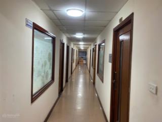 Cho thuê văn phòng 30,40m2 trung tâm phố đào duy anh, giá tốt, nhiều ưu đãi