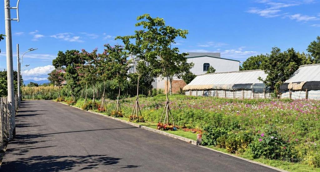 Bán đất tại hiệp thạnh, 1,05 tỷ, 115m2, mặt tiền 5m, pháp lý đầy đủ