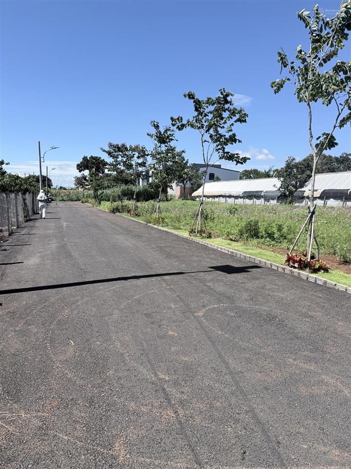 Bán đất tại hiệp thạnh, 1,05 tỷ, 115m2, mặt tiền 5m, pháp lý đầy đủ