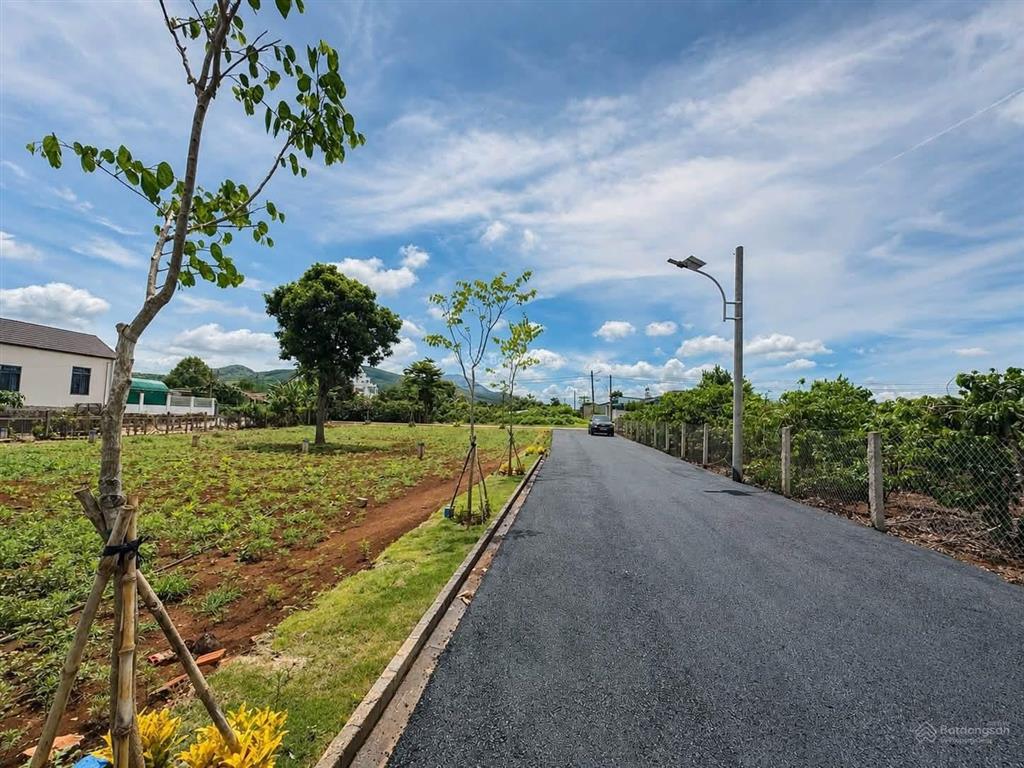 Bán đất tại hiệp thạnh, 1,05 tỷ, 115m2, mặt tiền 5m, pháp lý đầy đủ