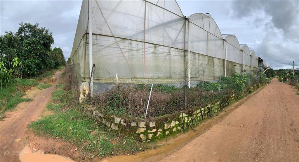Đất đã có nhà kính xã mê linh, lâm hà 1972m² có 400m² thổ cư, sổ đỏ, giá 3 tỷ, đường bê tông 6m