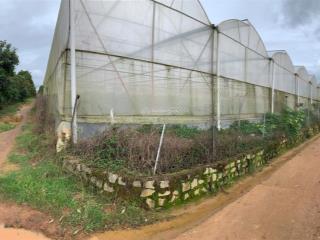 Đất đã có nhà kính xã mê linh, lâm hà 1972m² có 400m² thổ cư, sổ đỏ, giá 3 tỷ, đường bê tông 6m