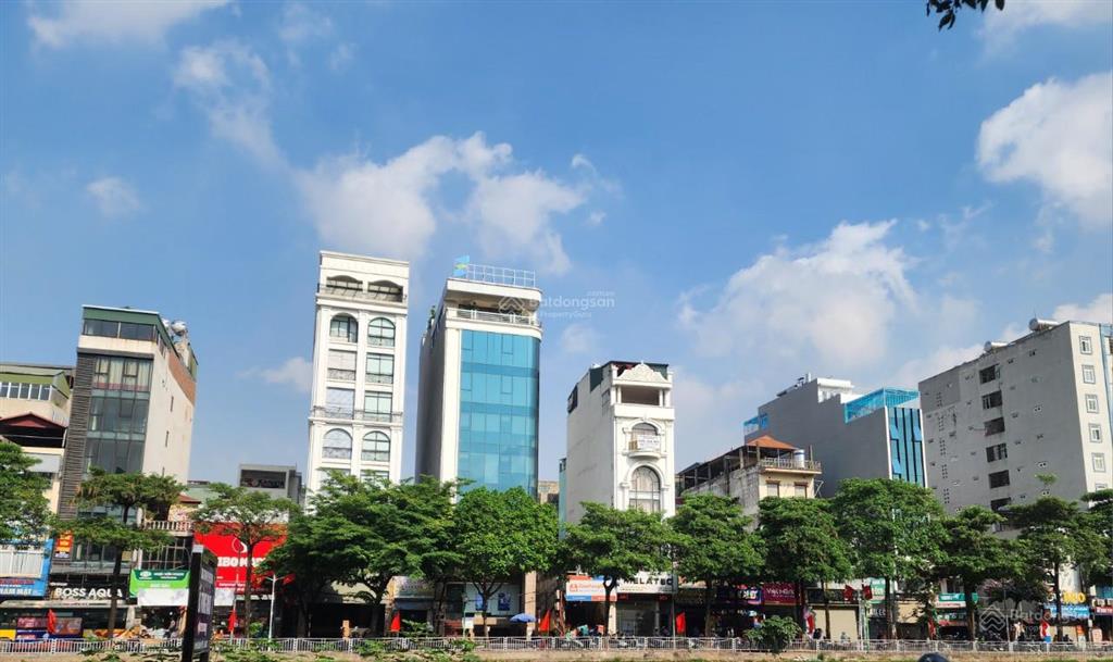 Cần bán nhanh đất mặt phố vũ tông phan, lô góc 3 mặt thoáng, dt 220m2 (350tr/m2)