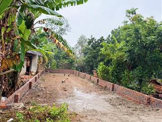 Bán đất trục chính liên xã  hạ bằng (tân xã cũ)  full thổ cư  0989 988 ***