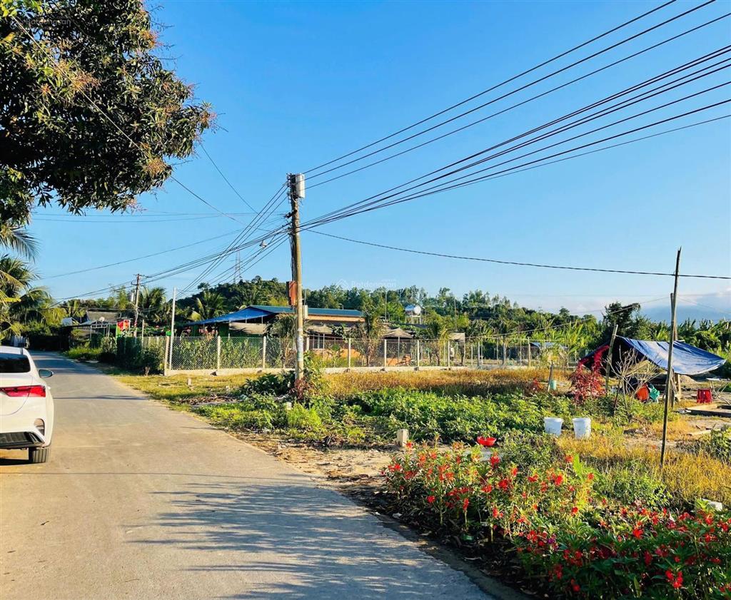 Mở bán lô mặt tiền đường tư văn thôn phước tuy diên phước nay thuộc xã diên thọ diên khánh