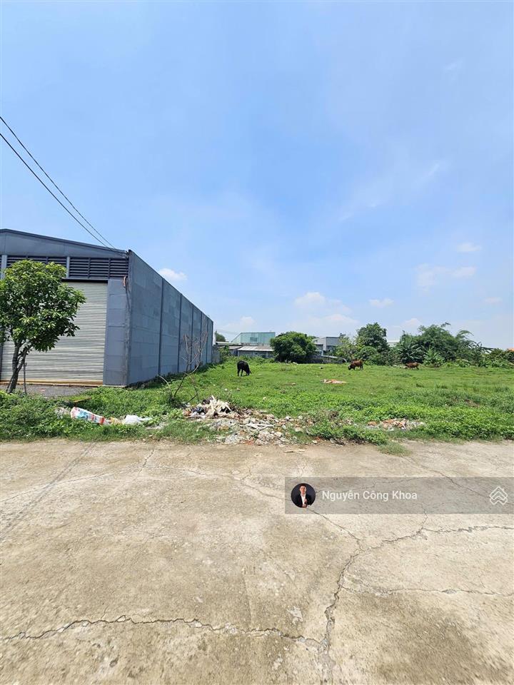 Bán đất sổ riêng, 10x55m, gần tổ hợp giáo dục fpt, phường thái hòa, thành phố tân uyên