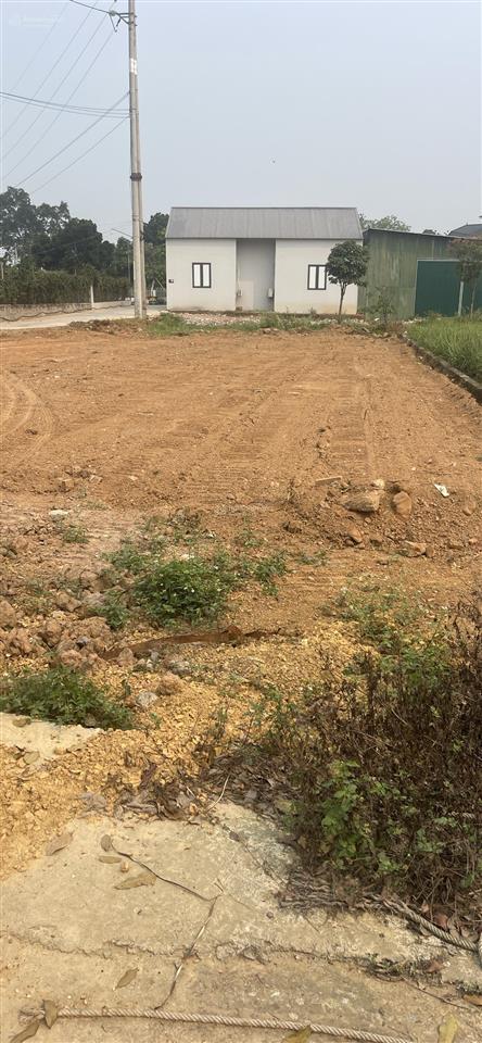 Chính chủ bán lô đất 692m2 tc 200m2 tại hoà trúc phú cát. lô góc 2 mặt tiền cách dh09 100m