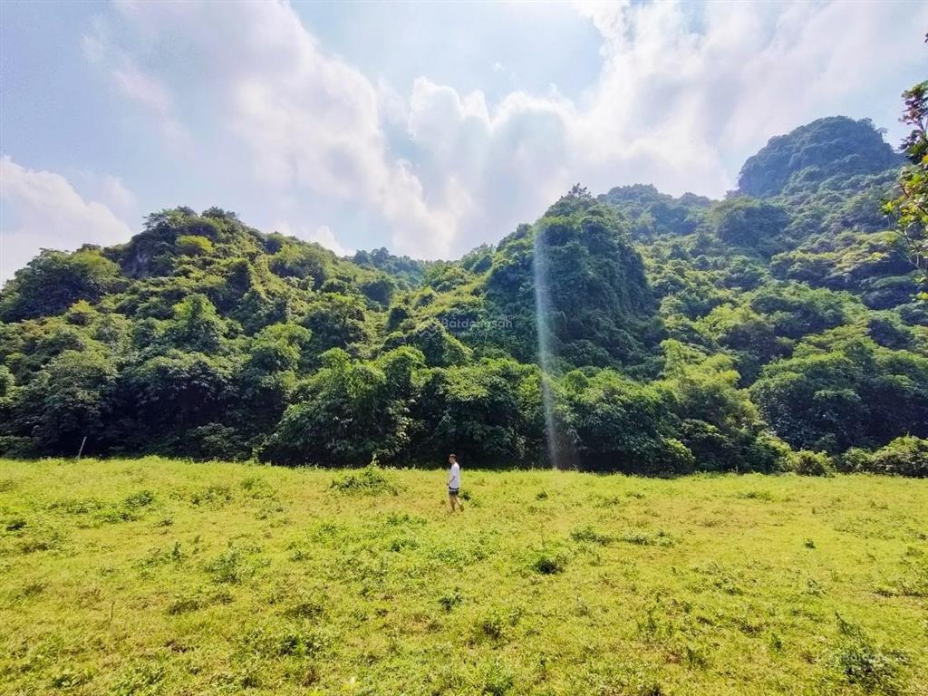 Chính chủ bán đất lạc lương (yên thủy  hb cũ) 5387m2 đất siêu đẹp đầu tư homestay