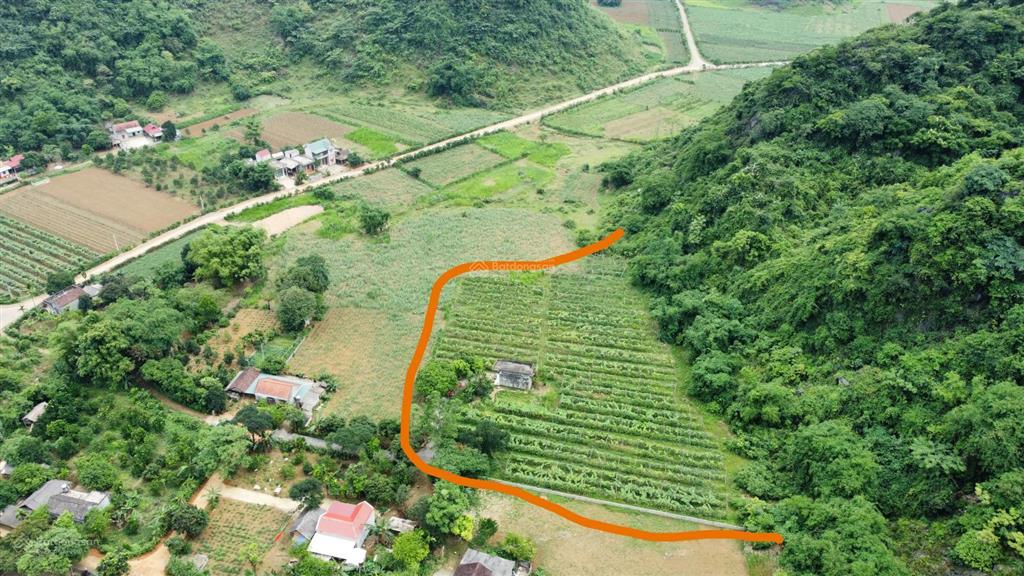 Chính chủ bán đất lạc lương (yên thủy  hb cũ) 5387m2 đất siêu đẹp đầu tư homestay