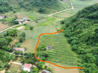 Chính chủ bán đất lạc lương (yên thủy  hb cũ) 5387m2 đất siêu đẹp đầu tư homestay