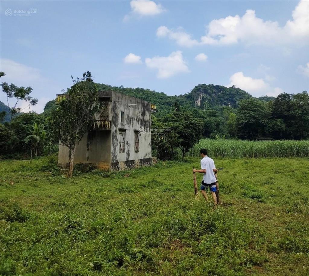 Chính chủ bán đất lạc lương (yên thủy  hb cũ) 5387m2 đất siêu đẹp đầu tư homestay