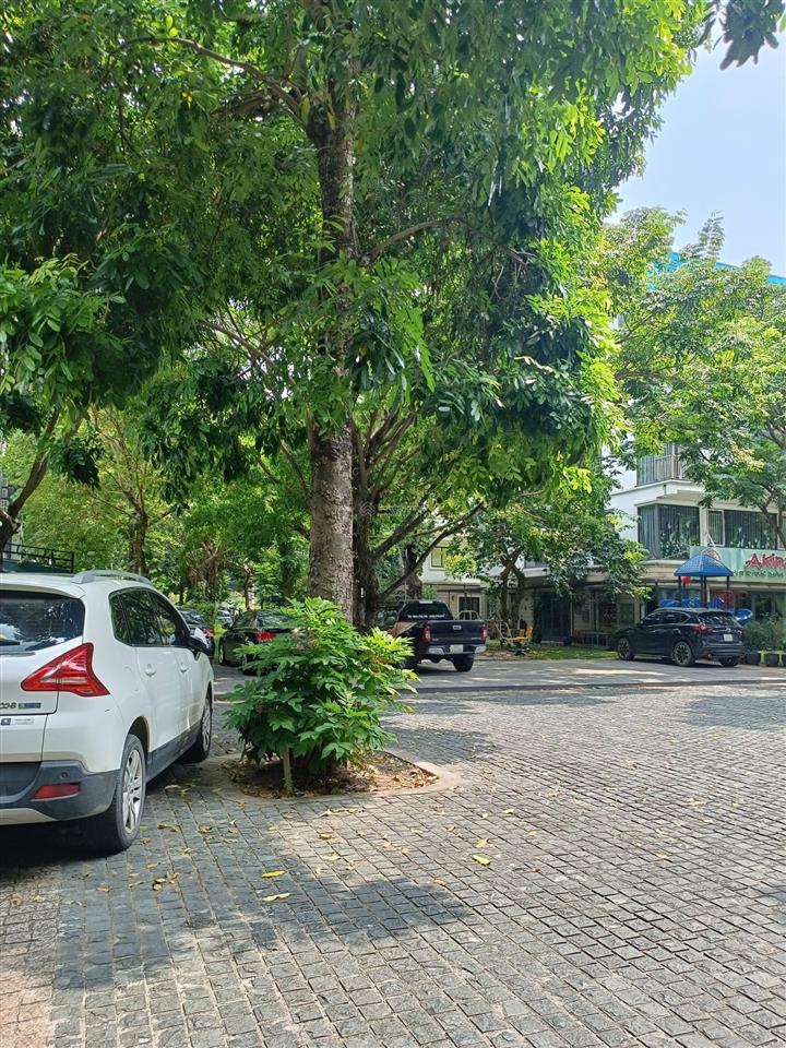 200 m² căn góc 40 tỷ nam chuyên căn ecopark