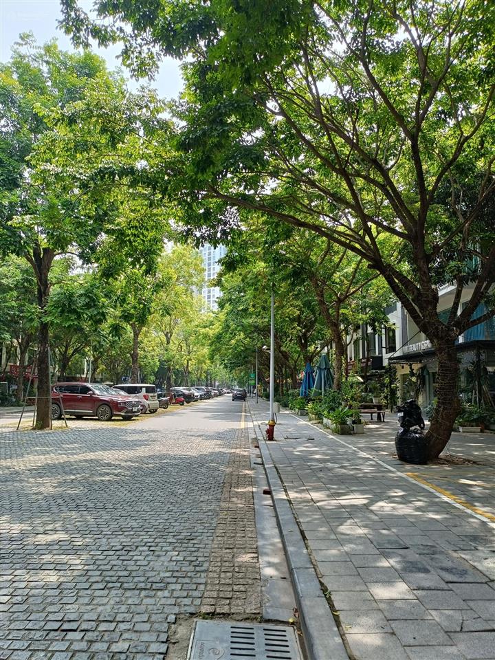 200 m² căn góc 40 tỷ nam chuyên căn ecopark