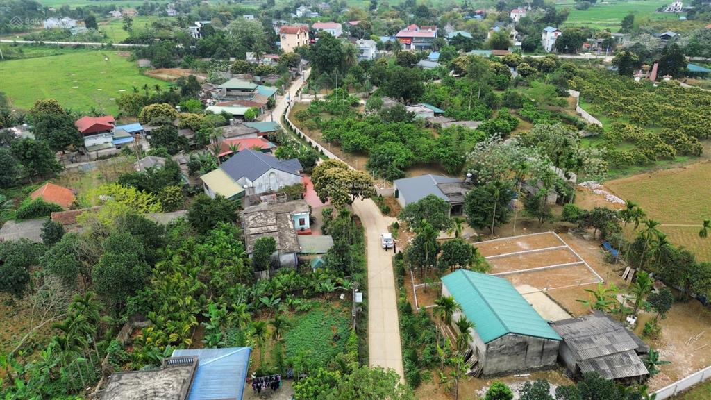 Bán lô đất tại trục chính thanh cao diện tích 118m2 full ont  cách ql21a chỉ 150m, kinh doanh