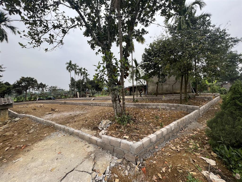 Bán lô đất tại trục chính thanh cao diện tích 118m2 full ont  cách ql21a chỉ 150m, kinh doanh
