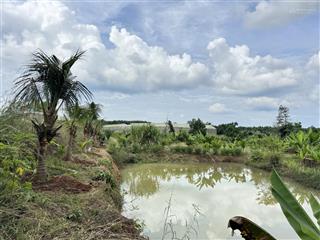 Chính chủ cần bán vườn cây ăn trái diện tích 4311m2 cách trung tâm chỉ 3km