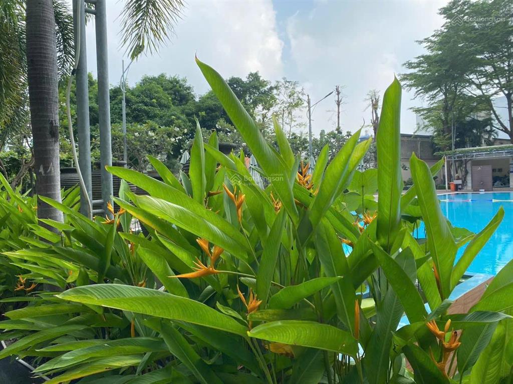 Bán căn hộ him lam chợ lớn quận 6, 84m2, 2pn 2wc  sổ hồng  nhà có nội thất   0906 388 ***