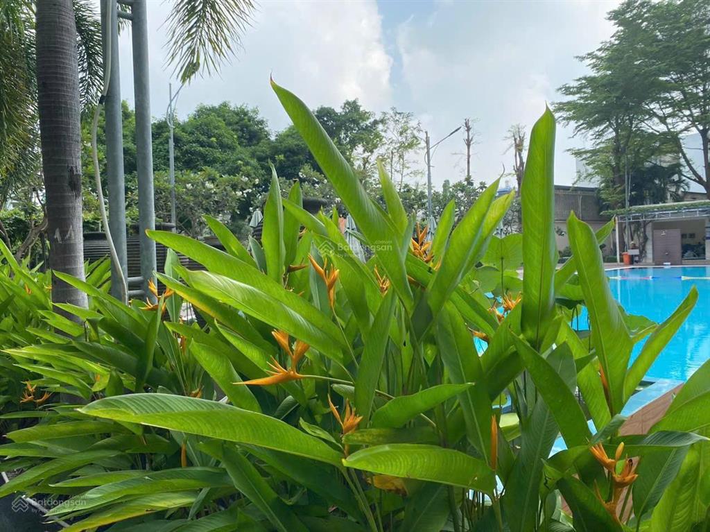 Bán căn hộ him lam chợ lớn  96,6m2 nhà full nội thất  sổ hồng   0906 388 ***