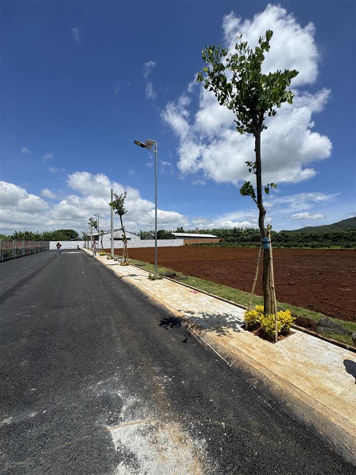 Khu dân cư hoa ban đỏ  ven đà lạt  gần sân bay liên khương