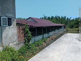 🚨 SỐC THẬT! 3000m² ĐẤT HỘI AN – CHỈ 1,49 TỶ 🚨