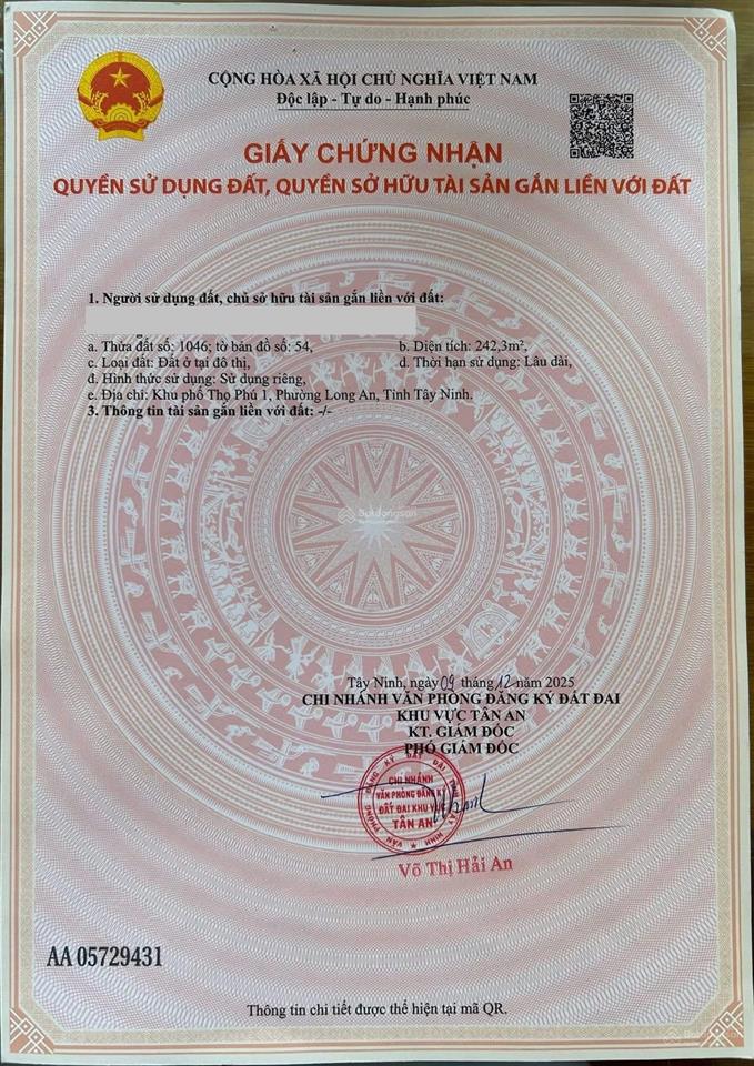 Bán đất 242m2 tại đường đặng ngọc sương, tân an, long an