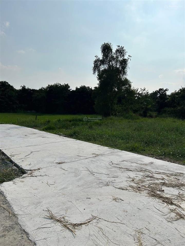 Bán đất 242m2 tại đường đặng ngọc sương, tân an, long an