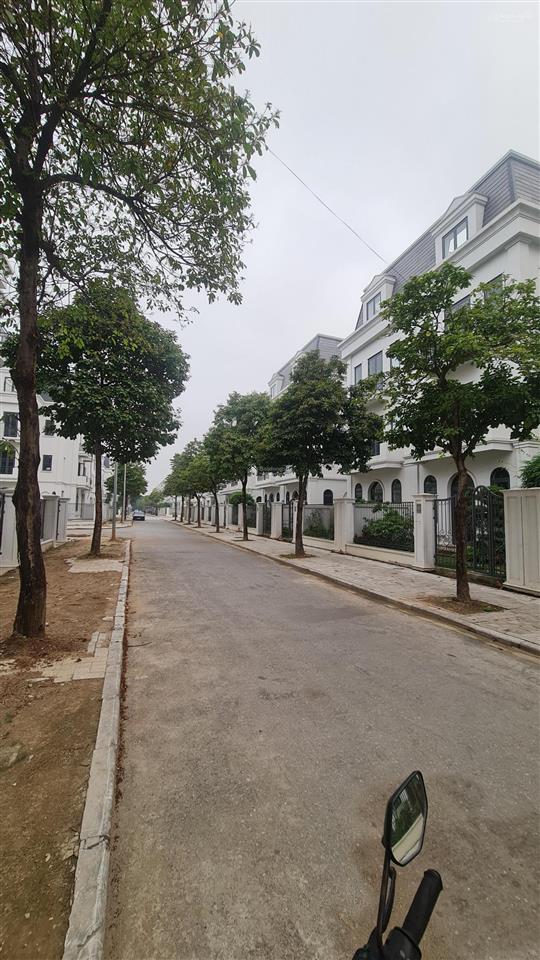 Hạ chào 3 tỷ! biệt thự dương nội chỉ hơn 100tr/m2, cơ hội hiếm tại trung tâm phát triển phía tây
