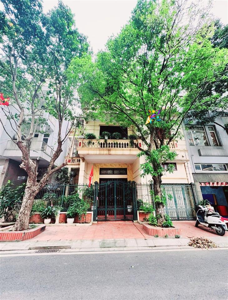 Bán biệt thự nguyễn cơ thạch, hàm nghi, 112m2, 5 tầng, vỉa hè, ô tô dừng đỗ, kd