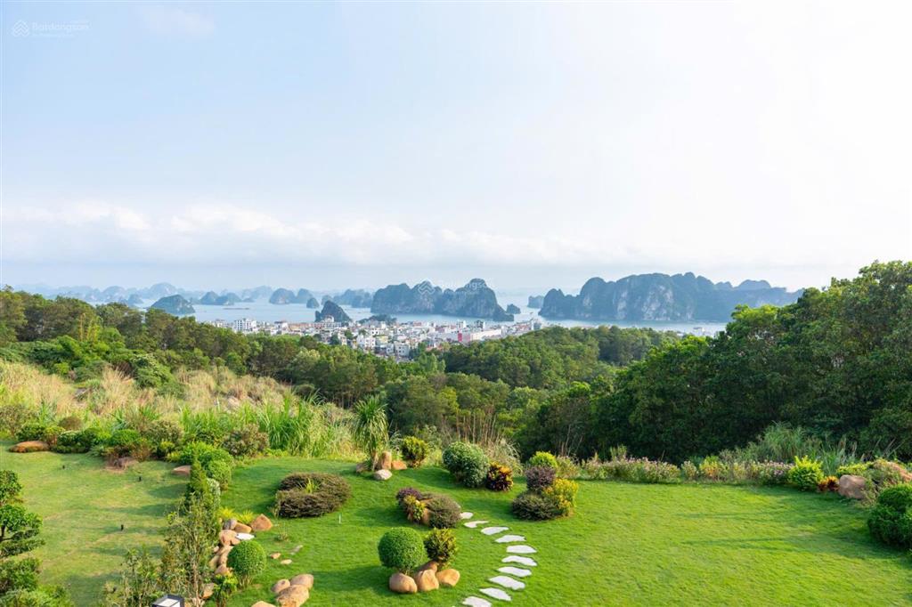 Chính chủ bán gấp biệt thự flc hạ long 600 m²  view vịnh trực diện giá tốt hơn thị trường 10 tỷ