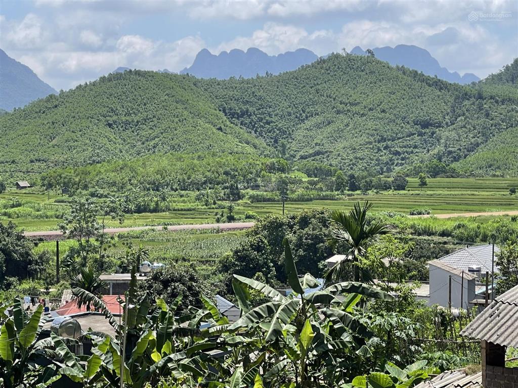 Bán đất nghỉ dưỡng view triệu đô, chỉ hơn 1tr/m2