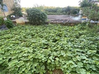 Bán lô đất 500m² p. trung thành  thái nguyên, giá chỉ 1,9 tỷ  vị trí đẹp!