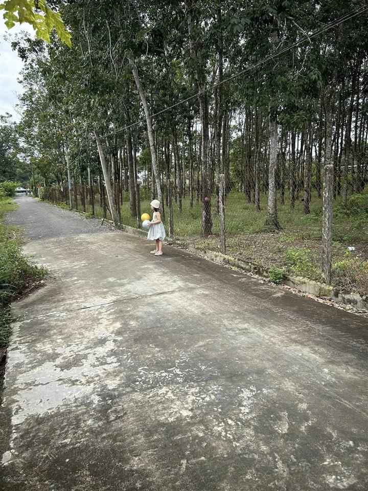 Bất động sản khu dân cư đông đúc gò dầu