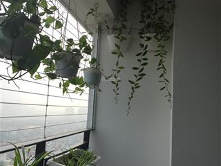 Cho thuê căn hộ tầng 23 chung cư 789 ngoại giao đoàn