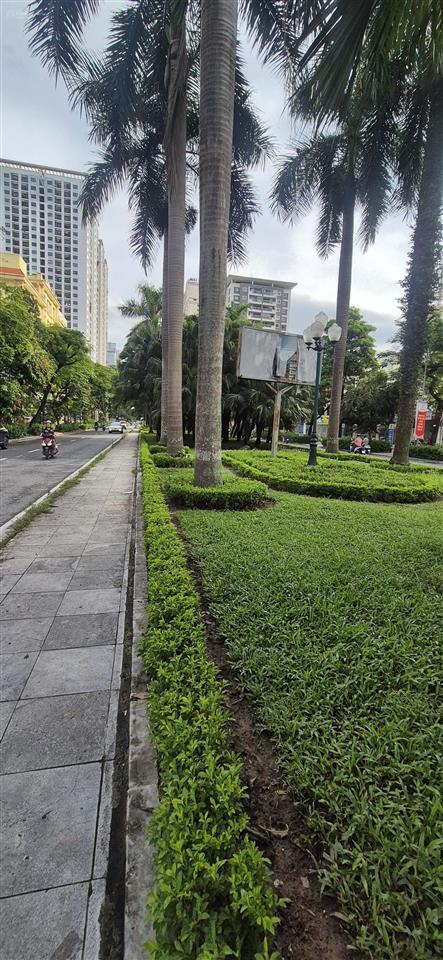 Cho thuê nhà mặt phố nguyễn cơ thạch. dt 45 m2 * 6 tầng, 6p. tk kinh doanh, làm vp, phòng khám