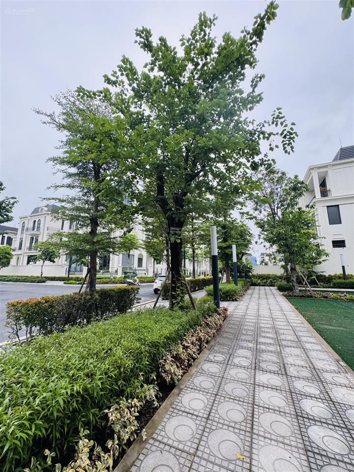 Siêu hiếm! lô góc ciputra, dt 183m2x5t, nhà mới đẹp, trung tâm lõi, gần công viên 65ha, giá 79 tỷ