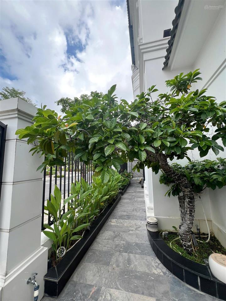 Đơn lập góc view sông, view công viên 240m2 chỉ 48 tỷ, hàng hiếm, bán gấp