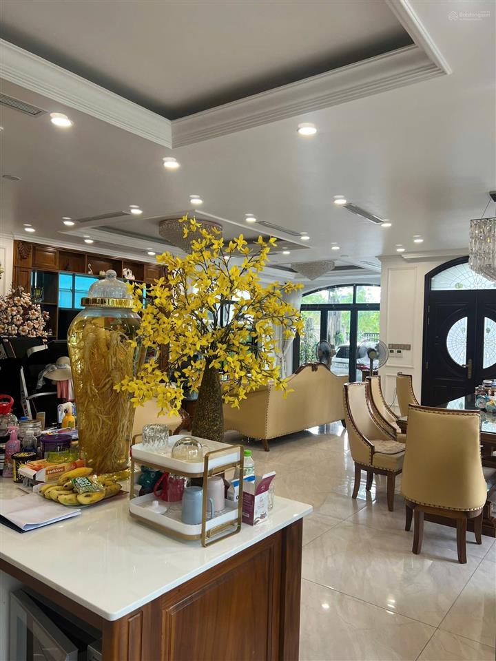 Đơn lập góc view sông, view công viên 240m2 chỉ 48 tỷ, hàng hiếm, bán gấp