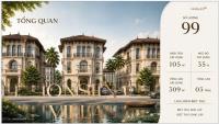 Mở bán bt đơn lập 300m² có khoáng nóng, chính sách khủng an tâm mua nhà 5 năm tại alluvia city